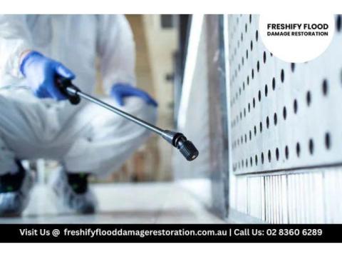 Mould After Water Damage Sydney – Restore Now