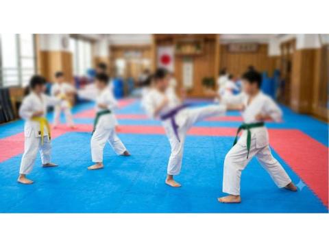 Karate Mat Price in India | Gravolite