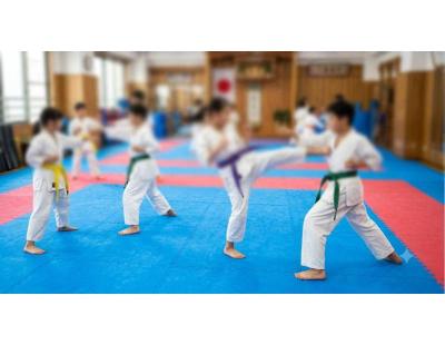 Karate Mat Price in India | Gravolite