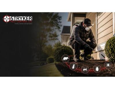 Pest Control Services in Columbus OH: Tips for a Pest-Free Home