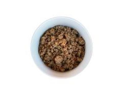 Quality Dog Wet Food for Everyday Nutrition