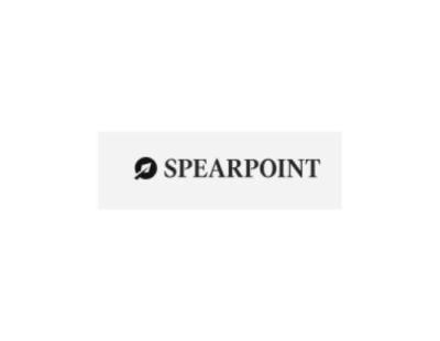 Non Executive Director Search | Spearpoint Search