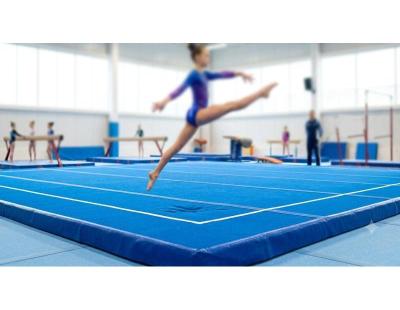 Gymnastics Mat for Home at the Best Price