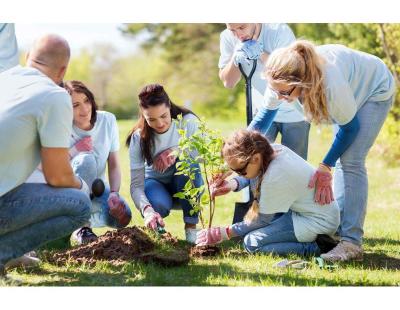 Community Participation Sydney – Get More From Every Day