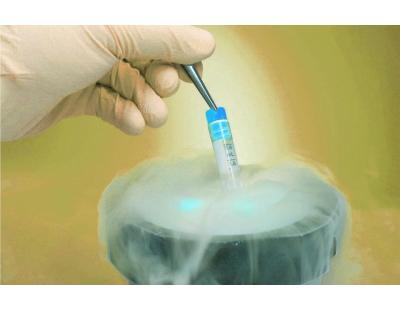 Egg Freezing in Delhi | Advanced Fertility Care by Fertylity IVF