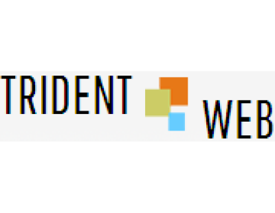 Search Engine Optimization (SEO) Services: Trident Web Infoservices