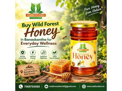 Buy Wild Forest Honey in Banaskantha for Everyday Wellness