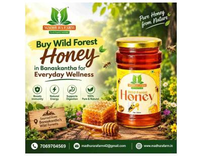 Buy Wild Forest Honey in Banaskantha for Everyday Wellness