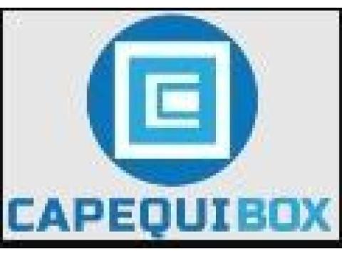Advanced DieCasting Lubricants & Release Agents for Efficient Production – Capequi Box - 2/2