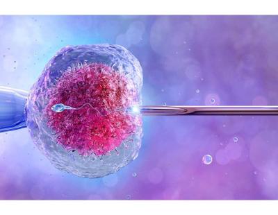 IVF Treatment in Delhi – Advanced Fertility Care | Fertylity IVF