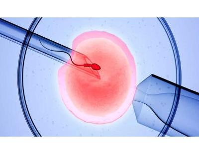 Assisted Embryo Hatching in Delhi | Advanced Care at Fertylity IVF