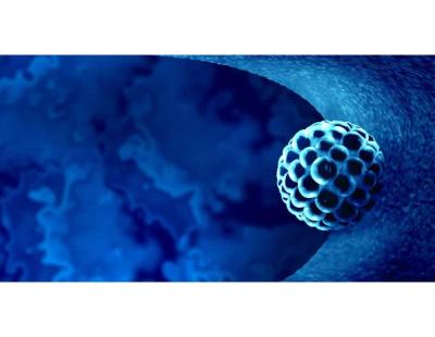 Blastocyst Transfer in Delhi – Advanced IVF Care | Fertylity IVF