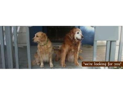 Best dog boarding near me Ladds Addition