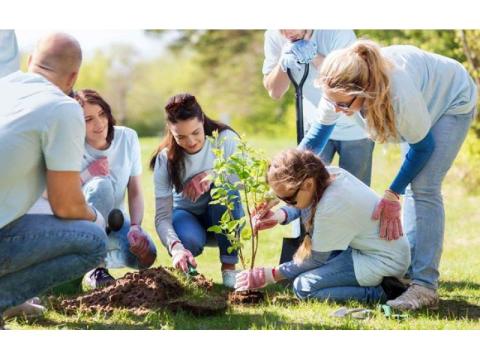 Need Reliable Support? Hire a Community Participation Provider Today - 2/2