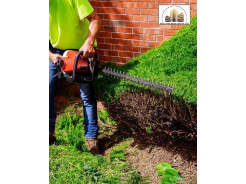 Transform Your Outdoor Space with Professional Landscaping in Sydney