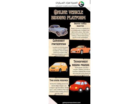 Find Vehicles Through Online Bidding