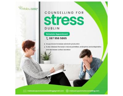 Professional Counselling for Stress to Manage Everyday Challenges