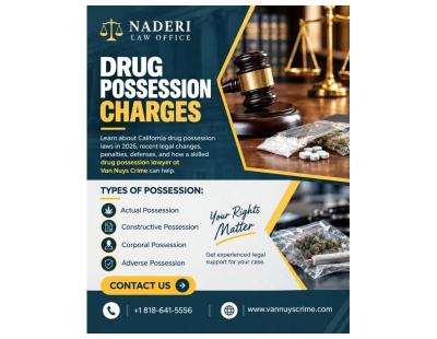 How Can a Drug Possession Lawyer Defend Your Case in Van Nuys?