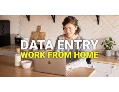 Data Entry and Typing Project Available