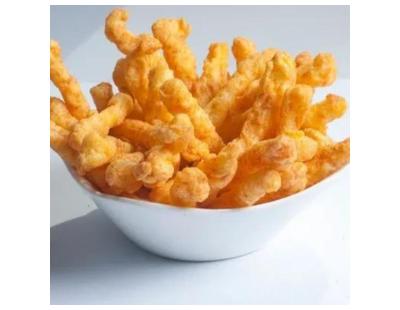 extruded snacks manufacturer in India