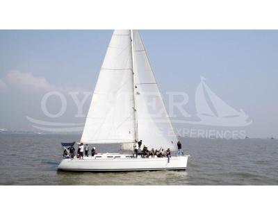 Oyster Sailing – Yacht & Boat Tours in Mumbai