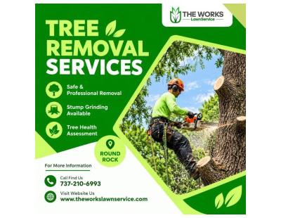 Tree Removal Services in Round Rock