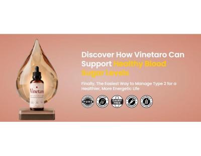 Vinetaro Advanced Support|Benefits, Features, Pros & Cons|
