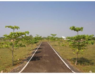 CMDA-Approved Plots in Madhavaram: Chennai’s Most Upcoming Neighbourhood Awaits Your Arrival