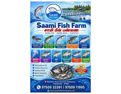 Are You Looking For Build a Strong Foundation for Your Aquaculture Farm?