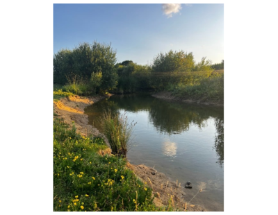 Biodiversity Net Gain Units in West Sussex