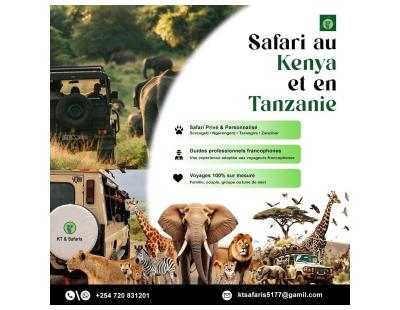 Safari au Kenya et en Tanzanie – Une Aventure Inoubliable