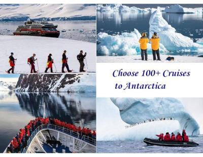 Sail the Fjords of Patagonia – Book Your Cruise