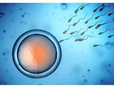 Oligospermia Treatment in Delhi | Advanced Care at Fertylity IVF