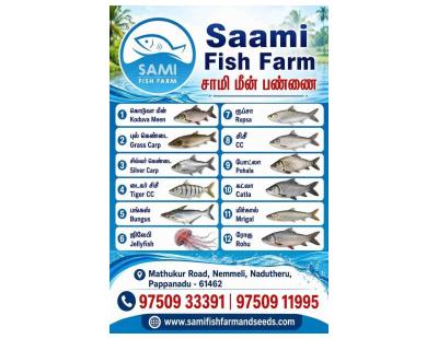 Looking for Fish Seeds for Your Farm in Thanjavur?