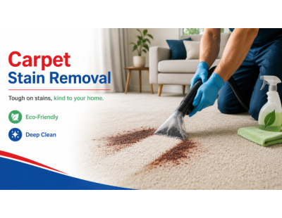 Professional Carpet Stain Removal Solutions in Carina