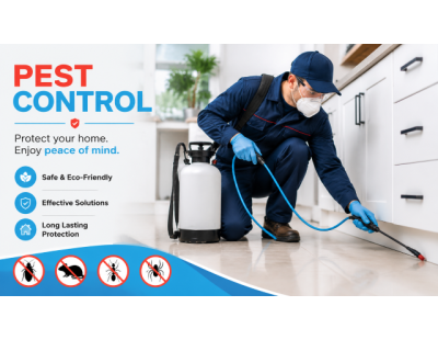 Pest Control St Albans for Cleaner Living Spaces