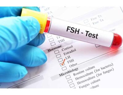 Follicle Hormone Test in Delhi | Accurate Diagnosis | Fertylity IVF