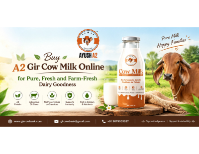 Buy A2 Gir Cow Milk Online for Pure, Fresh and Farm-Fresh Dairy Goodness