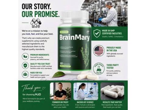 Brainmary Reviews Canada: Your Guide to Better Focus