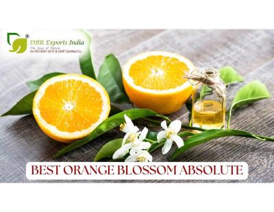 Orange Blossom Absolute Manufacturer | Premium Quality