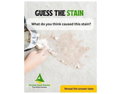 Give Your Carpets the Care They Deserve