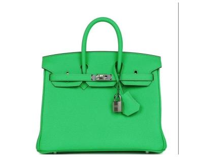 HERMES Birkin 25 Vert Comics
