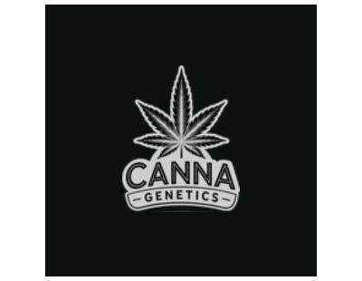 Indica Cannabis Seeds UK: Discover Classic Genetics at Canna Genetics