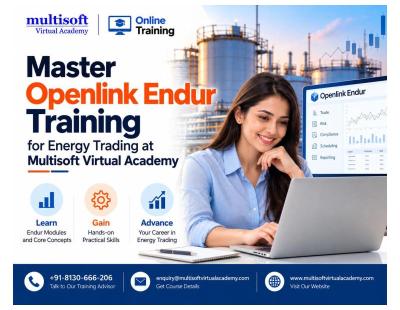 Master Openlink Endur Training for Energy Trading at Multisoft Virtual Academy