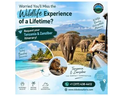 Experience an Unforgettable African Wildlife Journey