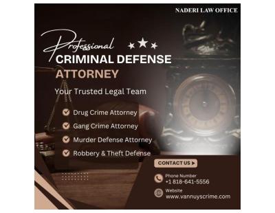 How Does a Criminal Defense Attorney Build a Defense Strategy?