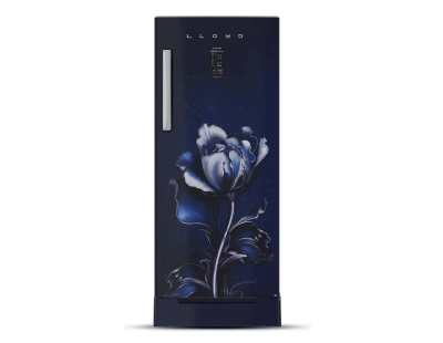 Buy Lloyd 185 L 3 Star Refrigerator | Havells