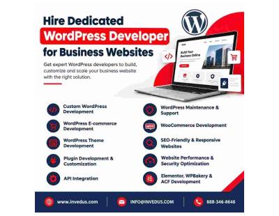 Hire Dedicated WordPress Developer for Business Growth
