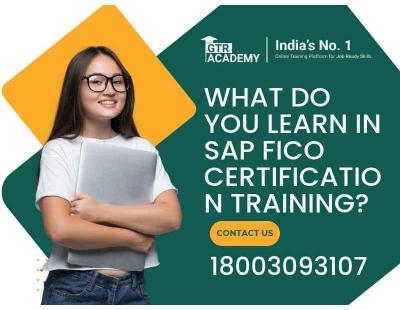 What Do You Learn in SAP FICO Certification Training?