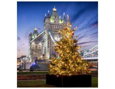 Book an Unforgettable Christmas Cruise Through the Danube